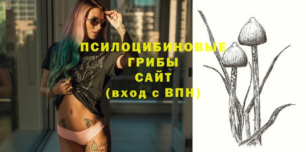 тгк Аркадак