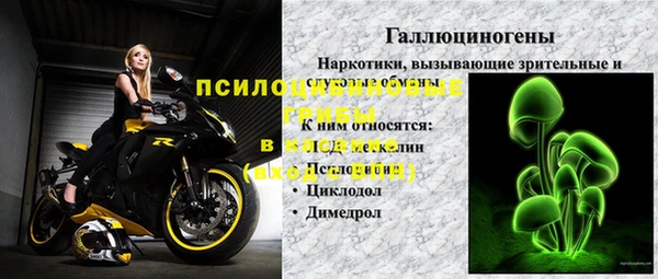 тгк Аркадак