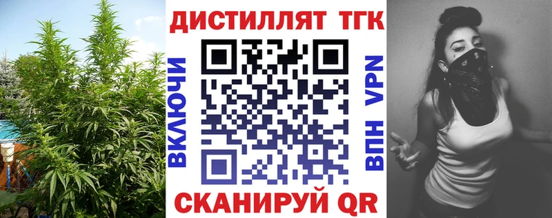мега вход  Белозерск  ТГК концентрат 